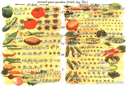 Planning a Year-Round Garden Image
